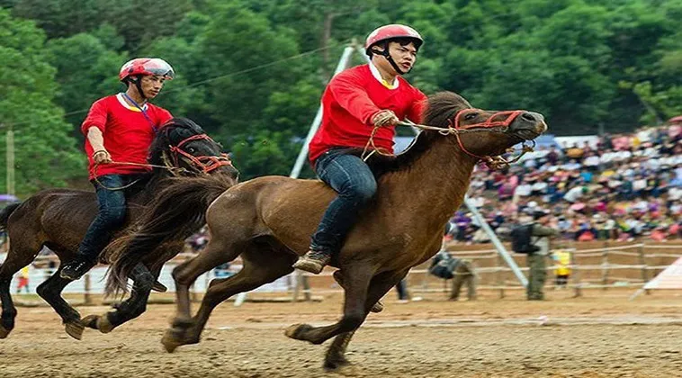 Đua Ngựa 8DAY: Khám Phá Thế Giới Cá Cược Đầy Hấp Dẫn